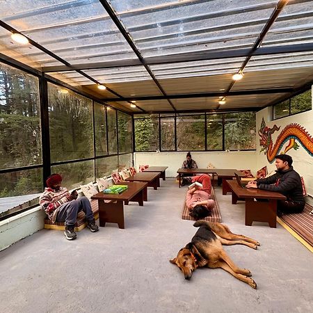 Eevolve Dharamkot - An Eco Hostel McLeod Ganj Extérieur photo