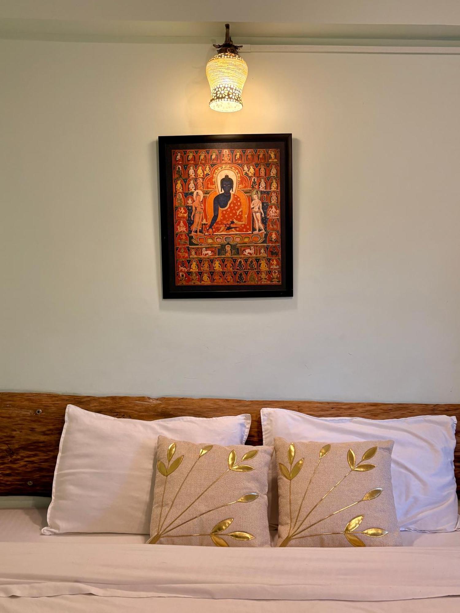 Eevolve Dharamkot - An Eco Hostel McLeod Ganj Extérieur photo